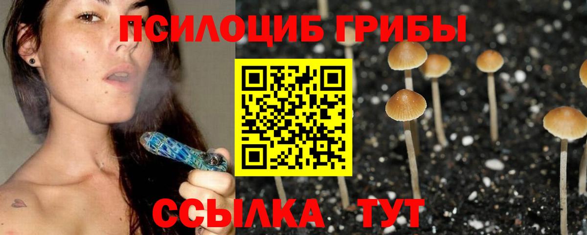 Семилуки  Галлюциногенные грибы Psilocybine cubensis  закладки  Вход с VPN  Псилоцибиновые грибы мицелий 